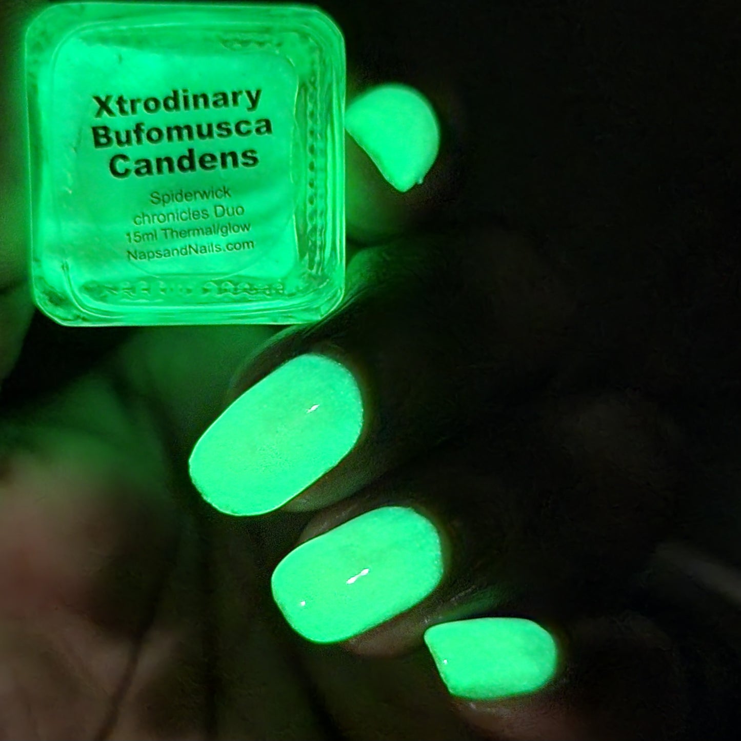 Xtrodinary Bufomusca candens