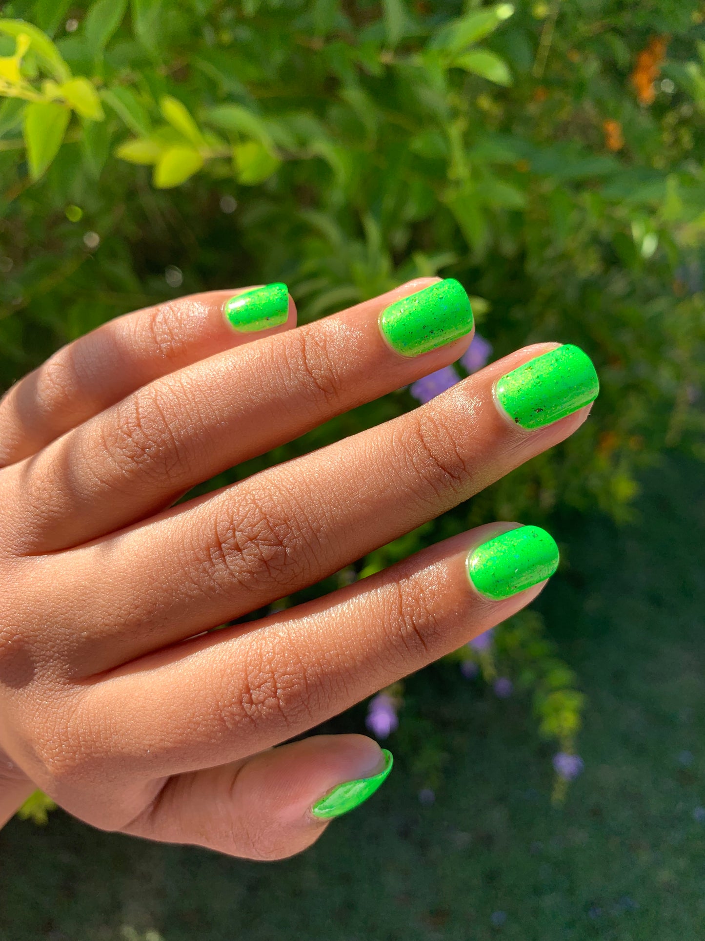 Reptar Bar!