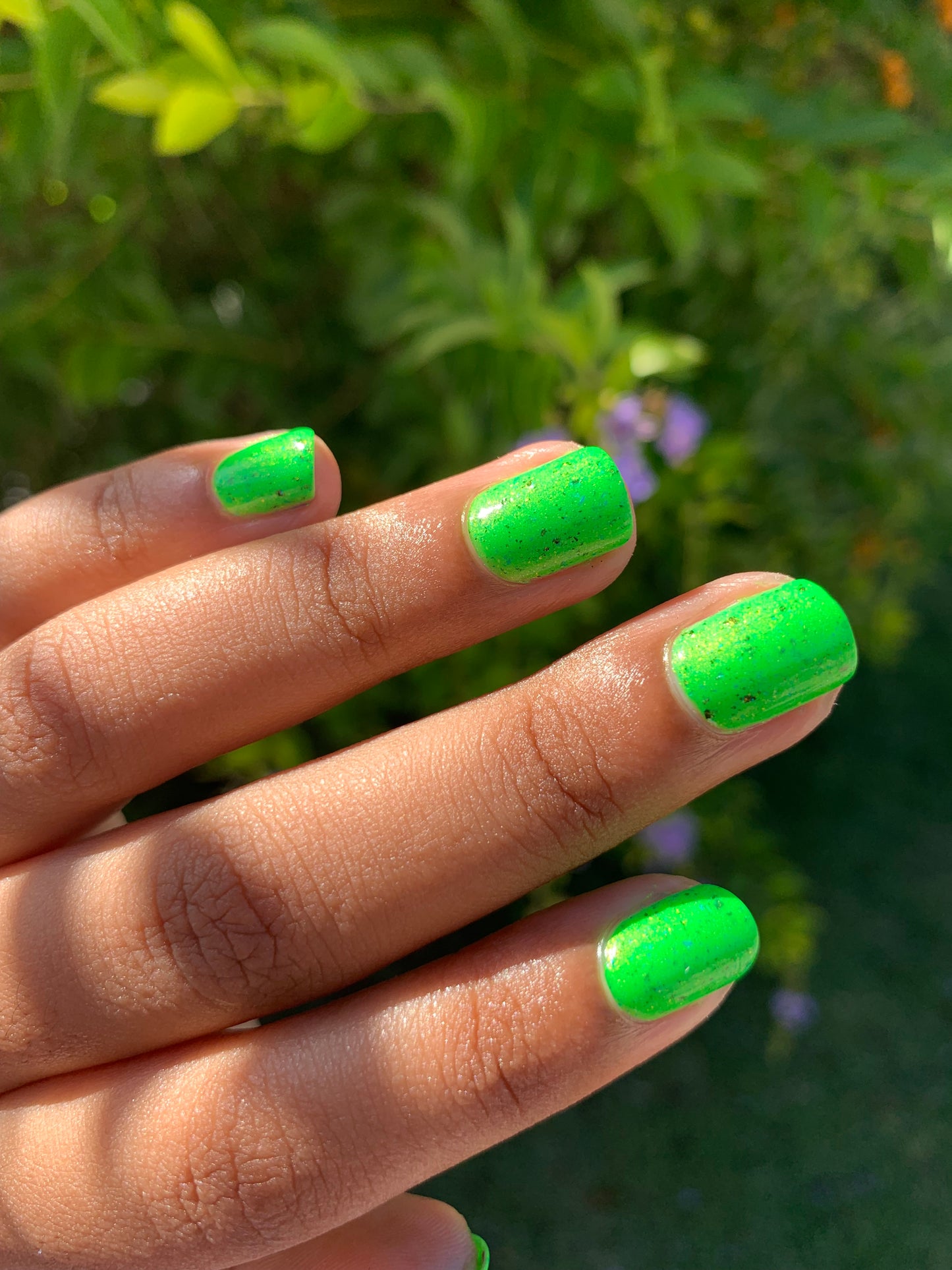 Reptar Bar!